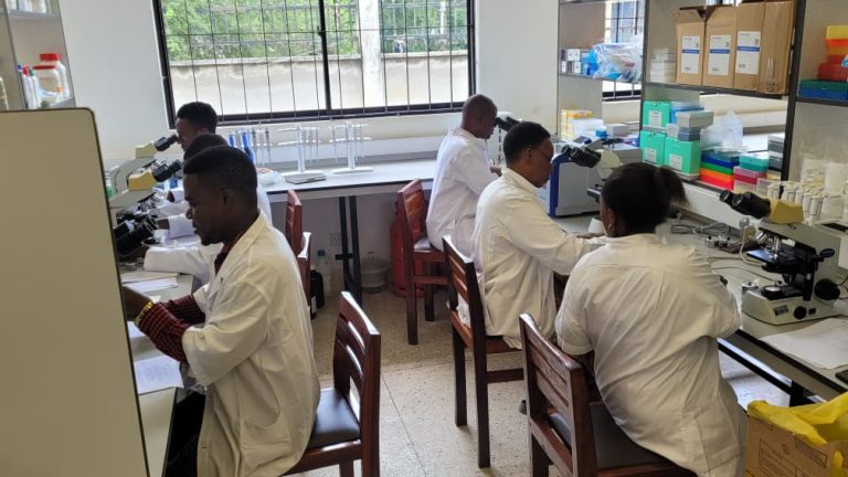 New Hope for Malaria Treatment: Tanzanian Scientists Lead Groundbreaking Clinical Trial