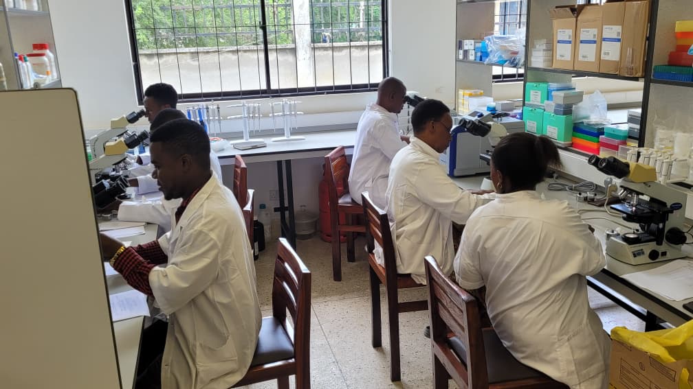 New Hope for Malaria Treatment: Tanzanian Scientists Lead Groundbreaking Clinical Trial